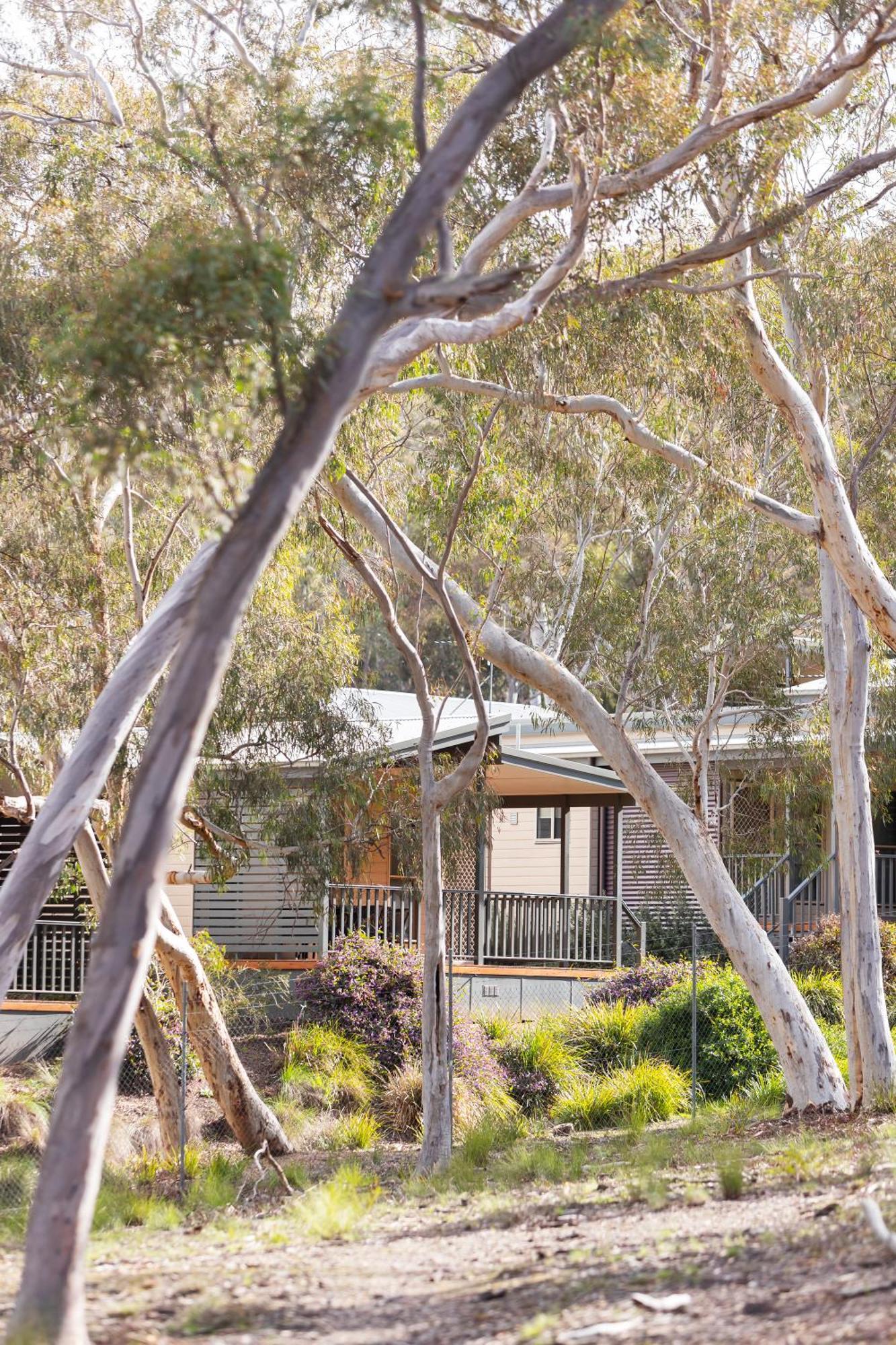 Alivio Tourist Park Canberra Camberra Exterior foto